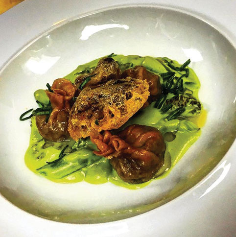 morel dumpings wister philadelphia old city byob